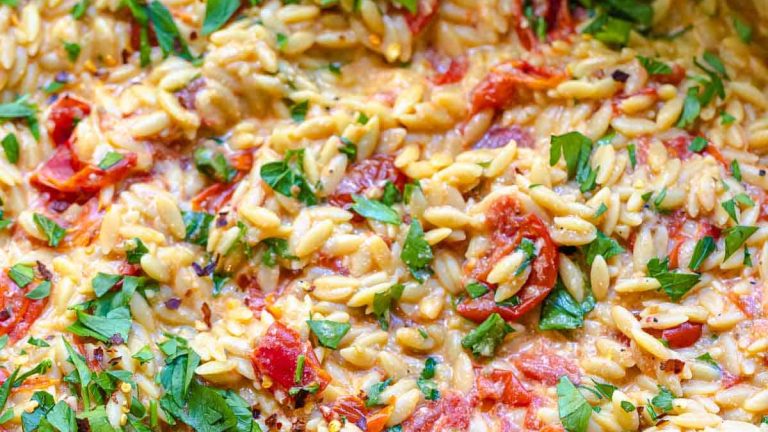 Creamy Orzo Risotto with Garlic, Parmesan and Blistered Tomatoes